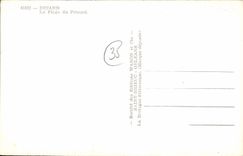 CPA Dinard La Plage du Prieure 