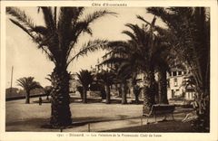 CPA Dinard Les Palmiers de la Promenade Clair de Lune 