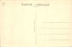 CPA Dinard Les Palmiers de la Promenade Clair de Lune 