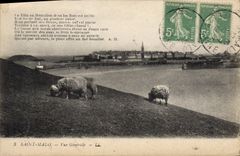 CPA Saint Malo Vue Generale Moutons