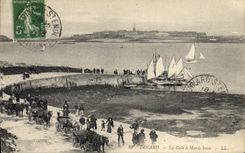 CPA Dinard la Cale a Maree basse 
