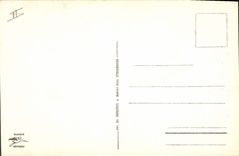 CPA Strasbourg un Nid de Cigognes 