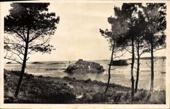 CPA Carantec Finistere l'Ile Louet et le chateau du Taureau 