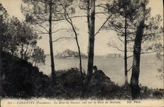 CPA Carantec Finistere le Bois de Sapins vue sur la Baie de Morlaix 