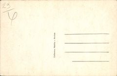 CPA Carantec Finistere l'Ile Louet et le chateau du Taureau