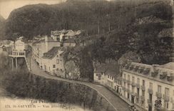 CPA Les Pyrenees St Sauveur vue generale 