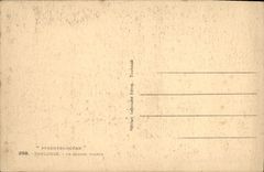 CPA Pyrenees Ocean Toulouse le square Wilson 