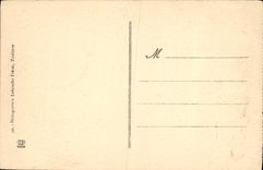 CPA Toulouse fontaine du jardin des plantes et monument d'armand sylvestre 