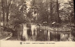 CPA Dijon Jardin de l'Arquebuse L'Ile des Cygnes 