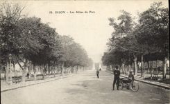 CPA Dijon Les Allees du Parc 