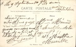 CPA Dijon Les Allees du Parc 
