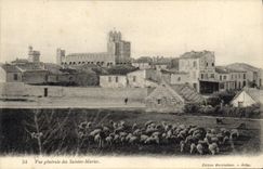 CPA Vue generale des Saintes Maries Moutons
