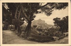 CPA Paysages et Pierres de Provence Les Alpilles vues de la Route de St Remy aux Baux 