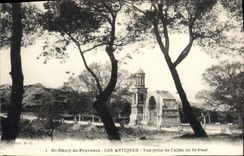 CPA St Remy de Provence Les Antiques Vue prise de l'Allee de St Paul 