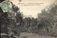 CPA Provence les Baux et les Ruines du Chateau Vue Lointaine prise du Parc de Manville