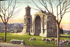 CPA Saint Remy Les Antiques Moutons