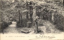 CPA Lille Le Bois de Boulogne