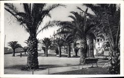 CPA Cote d'Emeraude Dinard Les Palmiers et la Promenaude Clair de Lune 