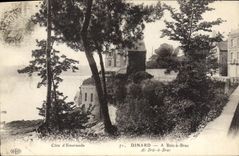 CPA Cote d'Emeraude Dinard A Bric a Brac 