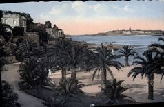 CPA Dinard La Palmeroie Au fond St Malo 