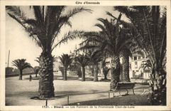 CPA Dinard Les Palmiers de la Promenade Clair de Lune 