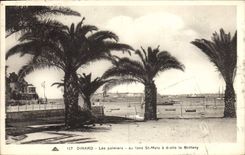 CPA Dinard Les Palmiers au fond St Malo a droite la Brittany 