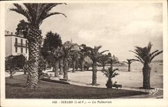 CPA Dinard L et V La Palmeraie 