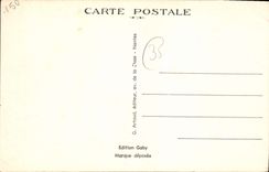 CPA Dinard L et V La Palmeraie 