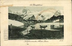 CPA Le Dauphine les Glaciers du M de Lans Vaches