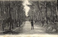 CPA Corniche de L'Esterel Foret d'Aigues Boumi 