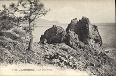 CPA L'Esterel le Cap Roux 