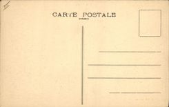 CPA Les Alpes Troupeaux au paturage Chevres Moutons Chevre