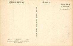 CPA Annecy Chateau de Menthon Cote Nord 
