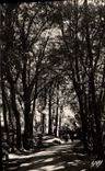 CPA Bagnoles de l'Orne Orne Allee du Dante 