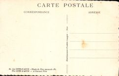 CPA La Cote d'Azur Etude de Pins parasols 