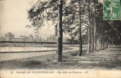 CPA Palais de Fontainebleau une Allee du Parterre 