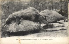 CPA Foret de Fontainebleau la Pieuvre des Rochers 