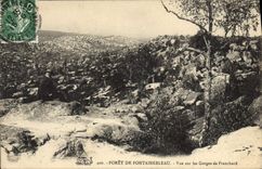 CPA Foret de Fontainebleau vue sur les Gorges de Franchard 
