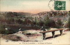 CPA Foret Fontainebleau les Gorges de Franchard 