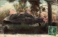 CPA Foret Fontainebleau la Tortue d'Apremont 