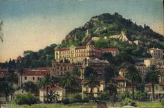 CPA Hyeres les Palmiers l'hotel Continental et la Colline du Vieux chateau 