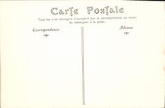 CPA Cite de Carcassonne vue prise au sud est 