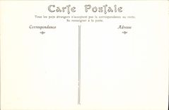 CPA Cite de Carcassonne la porte de Narbonne 