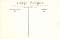 CPA Cite de Carcassonne entree principale 