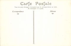 CPA Carcassonne Vieux pont et la Cite 