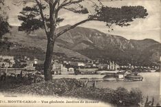 CPA Monte Carlo vue generale jardins de Monaco 