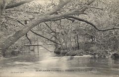 CPA St Junien La Glane au Chatelard L'Arbre penche 