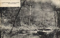 CPA St Junien Dans la Solitude Bords de la Glane 