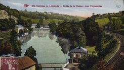 CPA Environs de Limoges Vallee de la Vienne Aux Paquerettes 