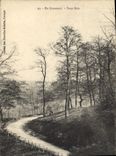 CPA En Limousin Sous Bois 